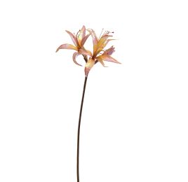 AMARYLLIS SHINY 80CM YELLOW