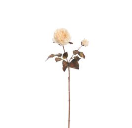 ROSE SPRAY 65CM ROSE CREAM