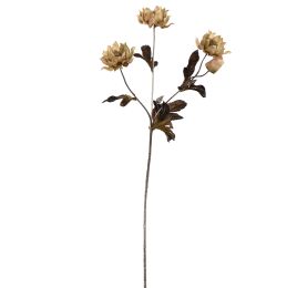 HELLEBORUS 66CM ROSE GREEN