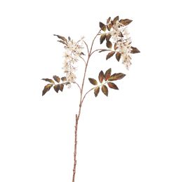 WISTERIA 100CM ROSE CREAM