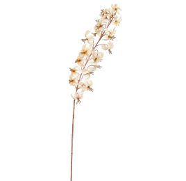 MARTAGON LILY 105CM ROSE CREAM