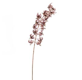 MARTAGON LILY 105CM ROSE MAUVE