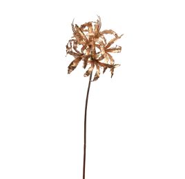 LYCORIS RADIATA 95CM GOLD