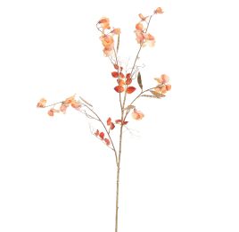 SWEET PEA 120CM GOLD ORANGE