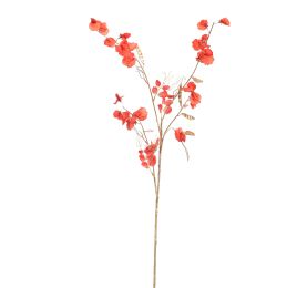 SWEET PEA 120CM GOLD RED