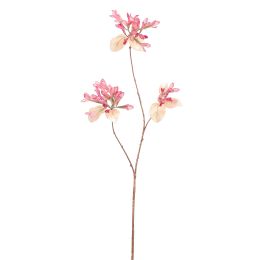 HONEYSUCKLE 90CM ROSE BEAUTY