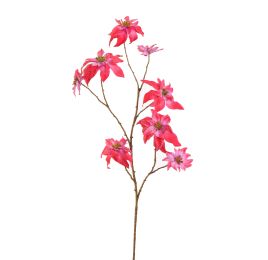 POINSETTIA 106CM BEAUTY