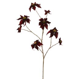 POINSETTIA 106CM BURGUNDY