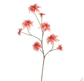 POINSETTIA 106CM PEACH
