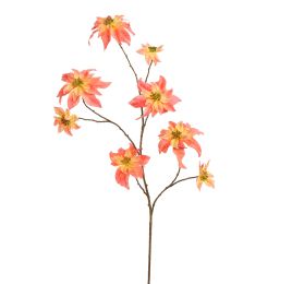 POINSETTIA 106CM PINK