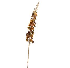 DELPHINIUM 135CM BROWN