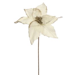 POINSETTIA D30CM H50CM VANILLA