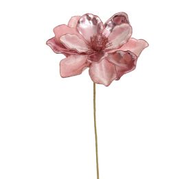 PRINCESS MAGNOLIA D21CM H50CM PINK