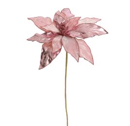 PRINCESS POINSETIA D26CM H50CM PINK