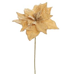 BAROCK  POINSETTIA D26CM H50CM BEIGE