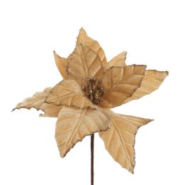 POINSETTIA D18CM H45CM BEIGE