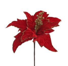 SPIKE POINSETTIA D23CM H45CM RED
