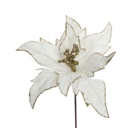 SPIKE POINSETTIA D23CM H45CM WHITE