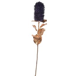 CALLISTEMON CITRINUS 69CM BLUE