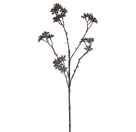 STAR ANISE W/ICE 62CM BROWN