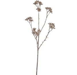 STAR ANISE 62CM CHAMPAGNE