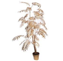 CHAMAEDOREA IN POT 170CM GOLD