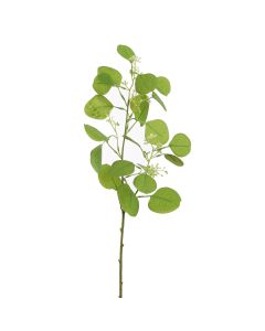 EUCALYPTUS BERRY 60CM GREEN