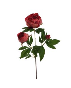 40130034-be.jpg