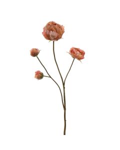 40130035-br.jpg