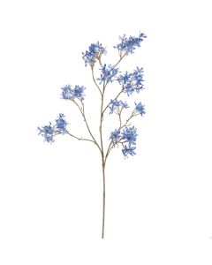 PEACH SPRAY 113CM BLUE