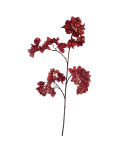 LARGE BOUGAINVILLEA 120CM RED
