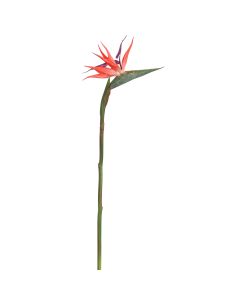 BIRD OF PARADISE 58CM RED