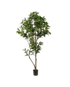 SHIKIBA TREE 130CM GREEN