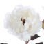 PEONY SPRAY 80CM ROSE CREAM