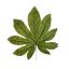 LARGE ARALIA LEAF PICK GREEN
