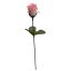 SMALL ROSE BUD ON FS W/LVS PINK