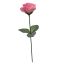 ROSE ON FS W/LVS PINK