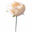BALL ROSE PICK SALMON