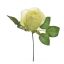 ROSEBUD PICK W/LVS GREEN
