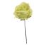 OPEN ROSE PICK GREEN