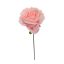 OPEN ROSE PICK PINK