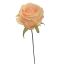 OPEN ROSE PICK SALMON