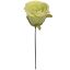 HALF-OPEN  ROSE GREEN