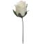 ROSEBUD PICK CREAM