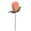 ROSEBUD PICK SALMON