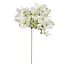 HYDRANGEA BERRY PICK 30CM CREAM