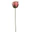 SMALL ROSEBUD 22CM BEAUTY