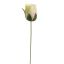 SMALL ROSEBUD 22CM GREEN SALMON
