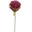 ROSE 22CM BEAUTY