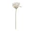 ROSE 22CM CREAM